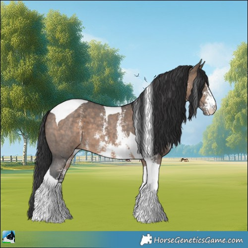Horse Color:Brown Dun Sabino Tobiano 
