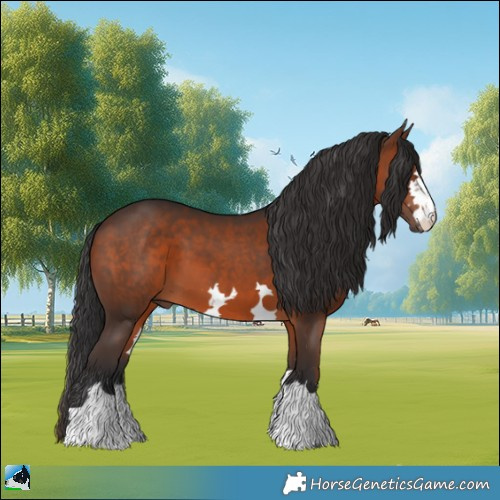 Horse Color:Brown 