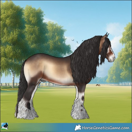 Horse Color:Brown Onyx 
