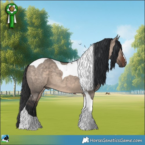 Horse Color:Brown Dun Mushroom Tobiano 