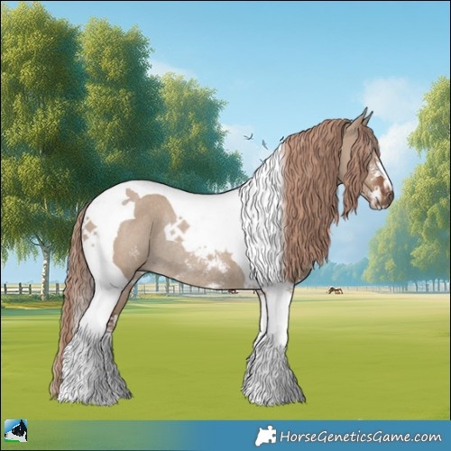 Horse Color:Liver Red Dun Sabino Tobiano Rabicano 