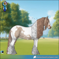 Horse Color:Liver Red Dun Sabino Tobiano Rabicano 