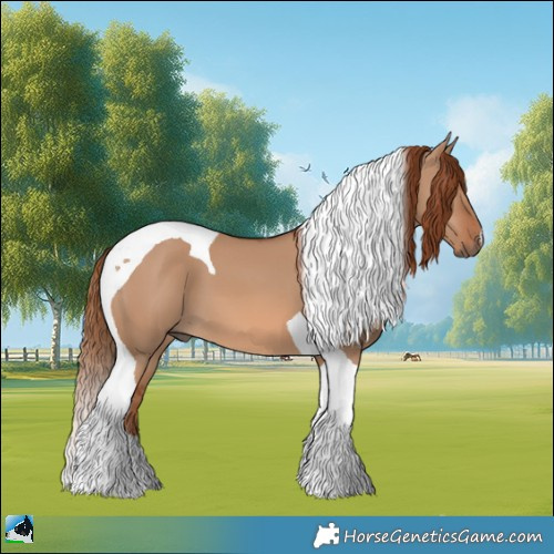 Horse Color:Red Dun Tobiano 