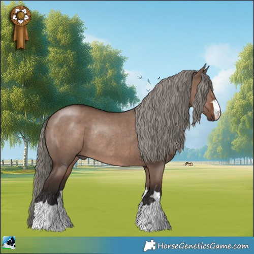 Horse Color:Liver Red Dun Mushroom Rabicano 