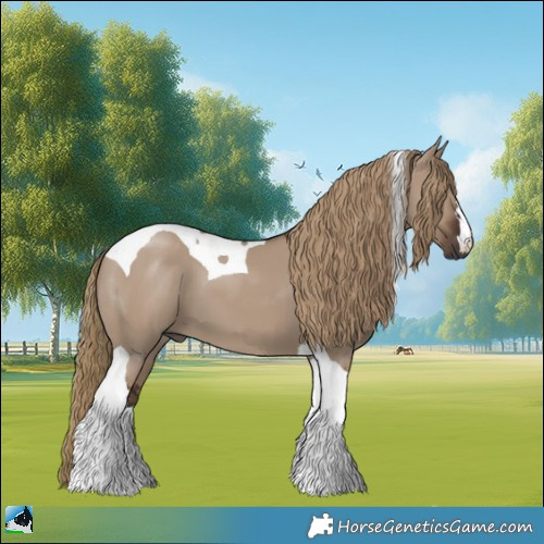 Horse Color:Liver Red Dun Tobiano 