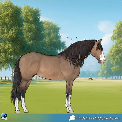 Horse Color:Brown Dun 