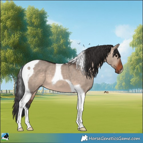 Horse Color:Brown Dun Mushroom Tobiano 