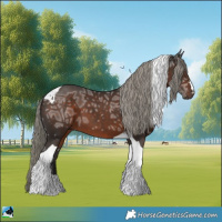 Horse Color:Liver Chestnut Ice Mushroom Tobiano