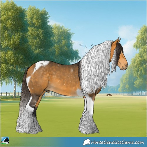 Horse Color:Buckskin Tobiano 