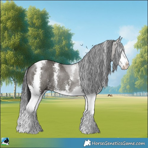 Horse Color:Grullo Mushroom Sabino Splash Rabicano 
