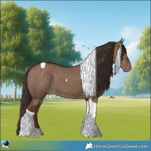 Horse Color:Liver Red Dun Tobiano Appaloosa 