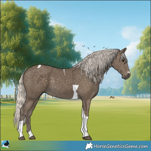 Horse Color:Silver Smoky Black Tobiano 