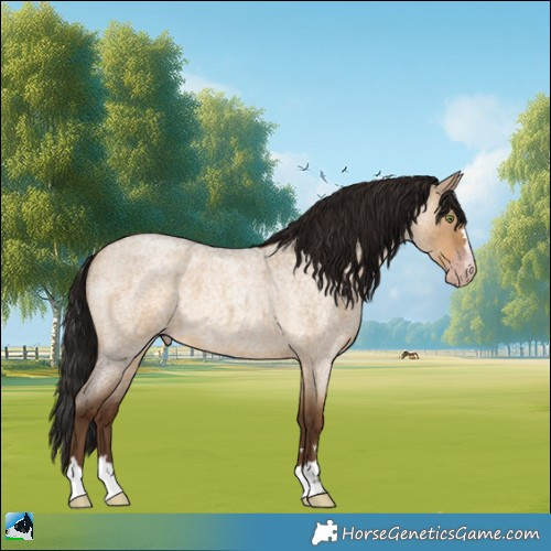 Horse Color:Gray Amber Champagne Roan Dun 