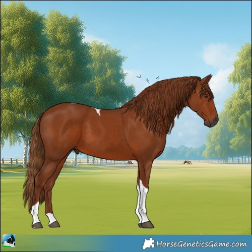 Horse Color:Gray Chestnut Tobiano 