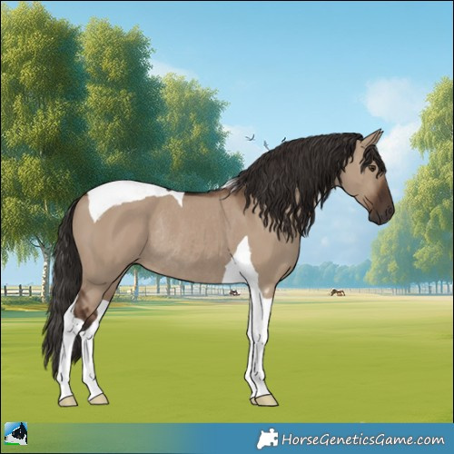 Horse Color:Liver Red Dun Tobiano Rabicano 