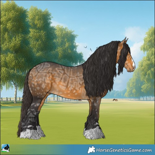 Horse Color:Buckskin Ice 