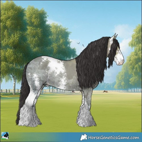 Horse Color:Smoky Grullo Ice Sabino Rabicano 
