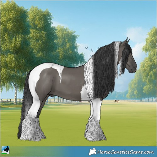 Horse Color:Grullo Mushroom Tobiano 