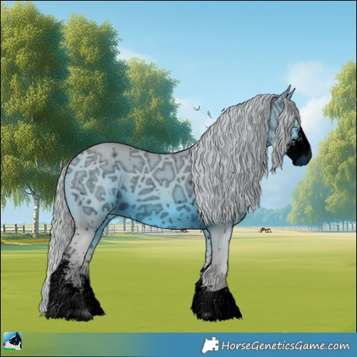 Horse Color:ERROR: UNKNOWN ANOMALY