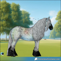 Horse Color:ERROR: UNKNOWN ANOMALY