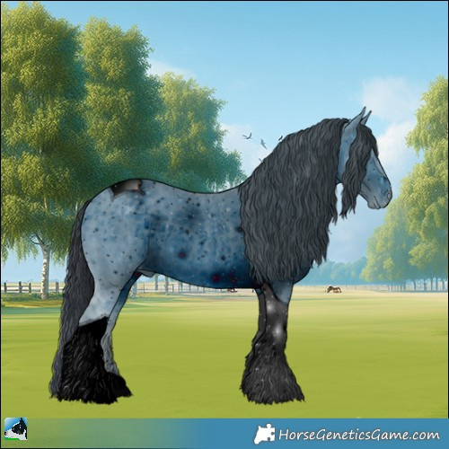 Horse Color:ERROR: UNKNOWN ANOMALY