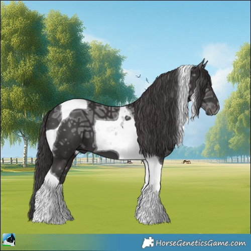 Horse Color:Smoky Black Ice Tobiano 