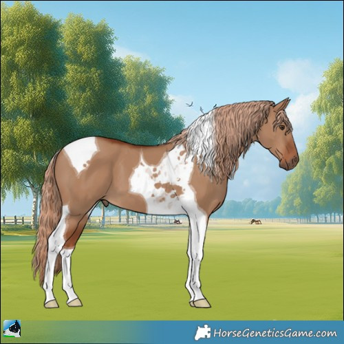 Horse Color:Red Dun Tobiano 