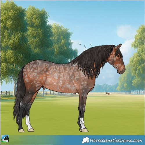 Horse Color:Brown Ice Rabicano 