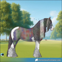 Horse Color:Nacre Smoky Grullo Sabino Tobiano 