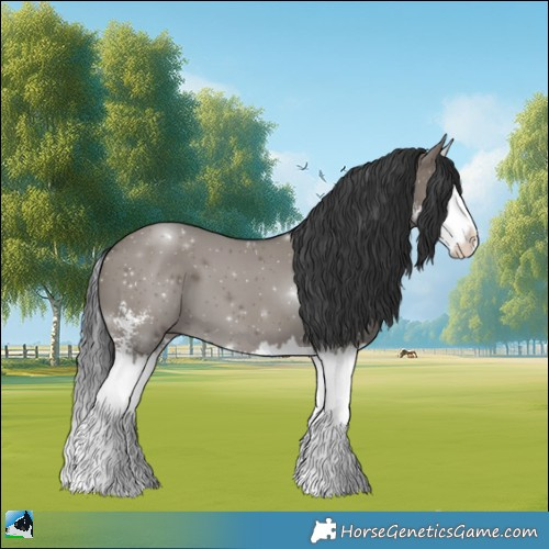 Horse Color:Grullo Sabino Splash 