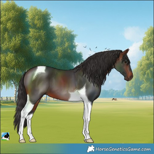 Horse Color:Brown Tobiano