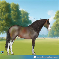 Horse Color:Brown Sabino 