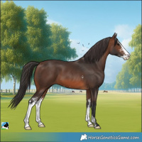 Horse Color:Brown Sabino