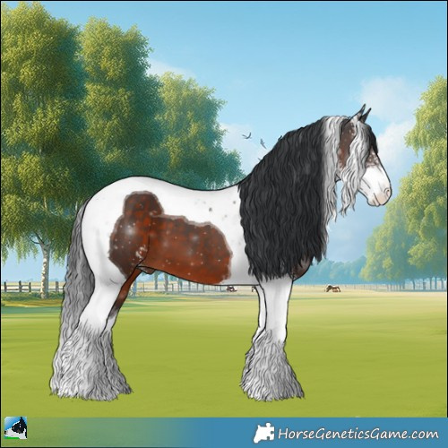 Horse Color:Brown Sabino Tobiano 