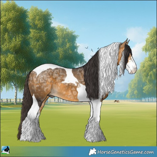 Horse Color:Buckskin Ice Sabino Tobiano 