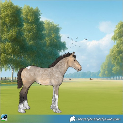 Horse Color:Buckskin Ice Dun Sabino Tobiano Brindle 
