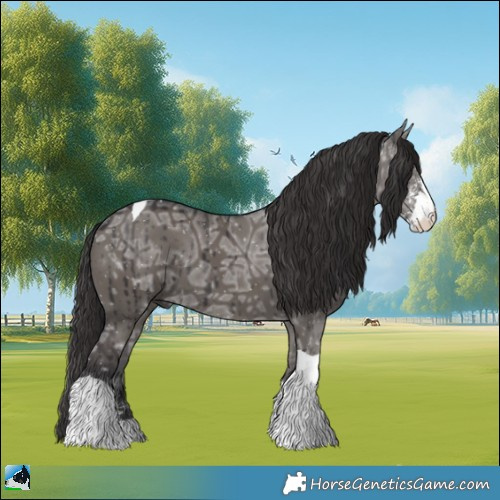 Horse Color:Smoky Grullo Ice Mushroom Sabino Tobiano Rabicano Brindle 