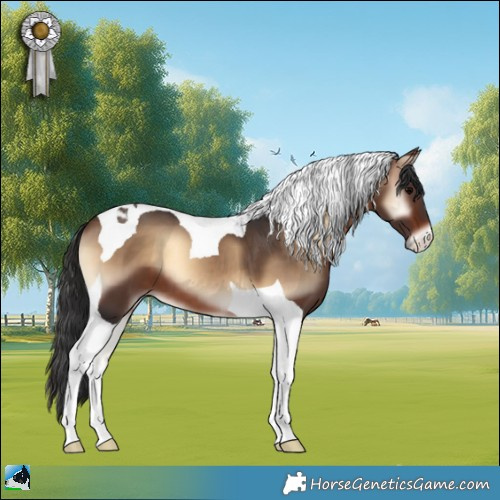 Horse Color:Brown Onyx Tobiano 