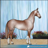 Horse Color:Gray Chestnut Tobiano 