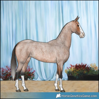 Horse Color:Bay Roan Splash 