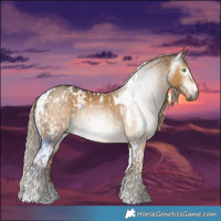 Horse Color:Gray Chocolate Palomino Dun Tobiano Blanket  and Gray Chocolate Palomino Dun Tobiano 