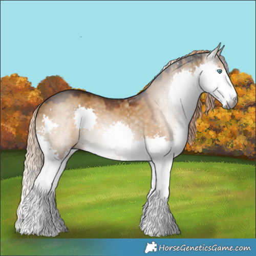 Horse Color:Gray Chocolate Palomino Dun Splash 