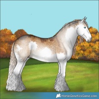 Horse Color:Gray Chocolate Palomino Dun Splash 