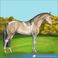 Horse Color:Chocolate Palomino Roan Dun Splash Rabicano  and Buckskin Dun Tobiano Rabicano 