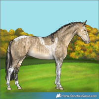 Horse Color:Chocolate Palomino Roan Dun Splash Rabicano and Buckskin Dun Tobiano Rabicano
