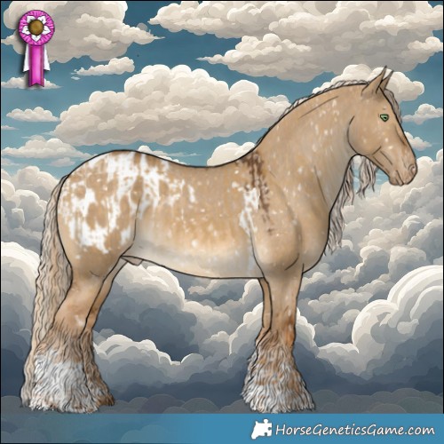 Horse Color:Chocolate Palomino Dun Tobiano Appaloosa  and Chocolate Palomino Dun Tobiano Appaloosa 