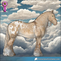 Horse Color:Chocolate Palomino Dun Tobiano Appaloosa  and Chocolate Palomino Dun Tobiano Appaloosa 