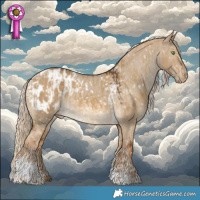 Horse Color:Chocolate Palomino Dun Tobiano Appaloosa and Chocolate Palomino Dun Tobiano Appaloosa