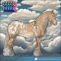 Horse Color:Chocolate Palomino Dun Tobiano Snowflake Varnish  and Chocolate Palomino Dun Tobiano Blanket 