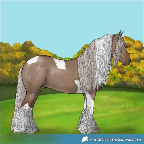 Horse Color:Silver Grullo Tobiano Rabicano 